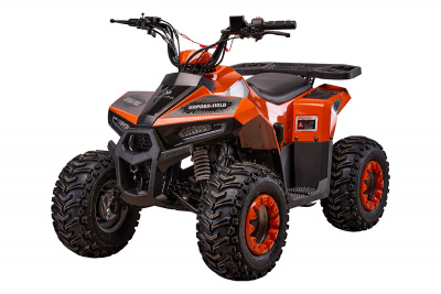 Квадроцикл Raposa 110