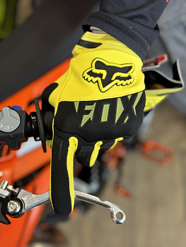 фокс 1 желт черн