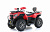 Комплект для сборки (комплект запчастей  YAСOTA X-RIDER 300) КРАСНЫЙ